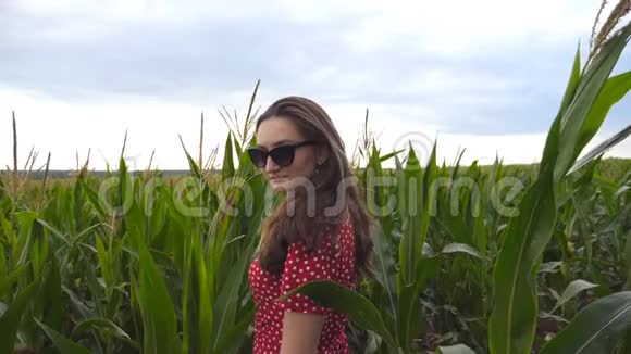 迷人的可爱女孩戴着太阳镜棕色长发站在玉米地转向相机微笑肖像视频的预览图