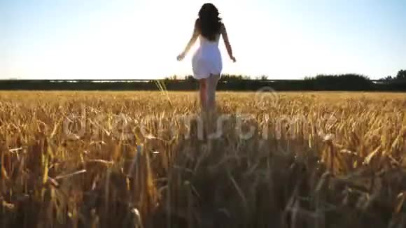 迷人的女人穿着白色的裙子在日落时穿着黄色成熟的小麦穿过田野年轻无忧无虑的女孩视频的预览图