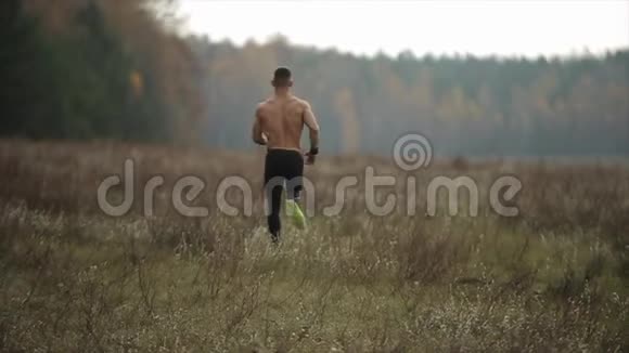 肌肉男赤裸的躯干穿过田野慢动作视频的预览图