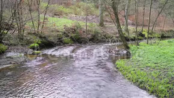 森林中小溪的高视角视频的预览图