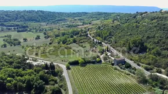 普罗旺斯的葡萄园景观视频的预览图