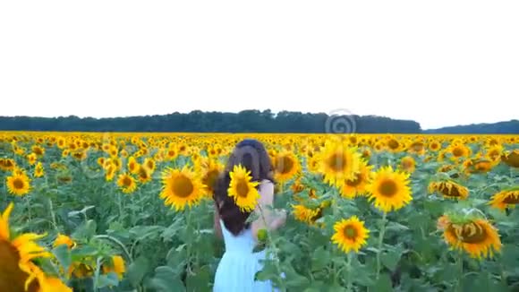 迷人的女士在夏日漫步在草地上跟随年轻无忧无虑的女人昂首阔步地走过田野视频的预览图