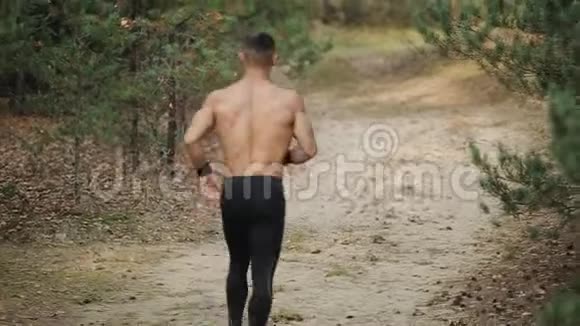 雄壮的跑步者穿过森林视频的预览图