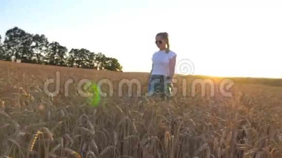 日落时分在草地上的金色小穗上一个年轻女孩用皮带牵着她的西伯利亚哈士奇狗走着视频的预览图