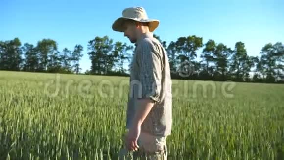 阳光明媚的夏日戴帽子的年轻男性农民在谷物种植场的景色自信的男人走路的轮廓视频的预览图
