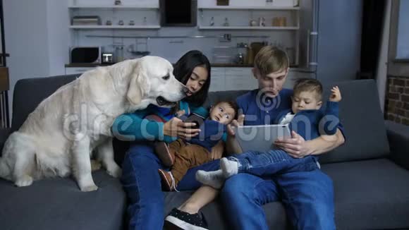 穆里特族家庭宠物狗躺在沙发上视频的预览图