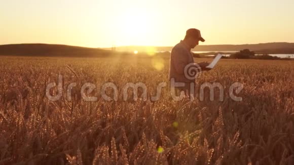 农夫拿着笔记本电脑在田里干活看小麦的生长视频的预览图