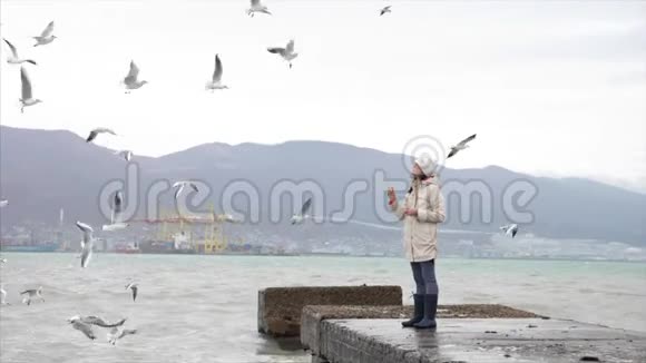 年轻女子正在喂海鸥多风天气的海滨视频的预览图