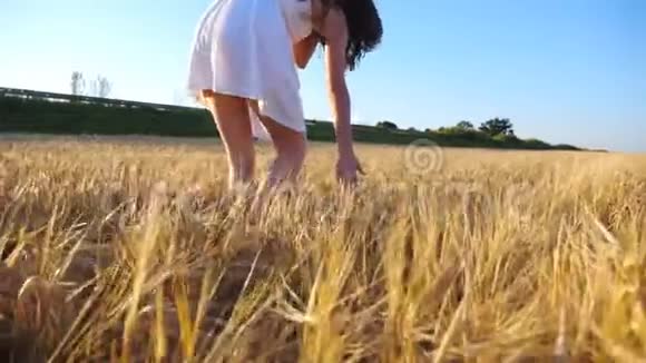 不可辨认的女人穿着白色连衣裙沿着麦田行走触摸成熟的小穗年轻女孩喜欢美丽视频的预览图