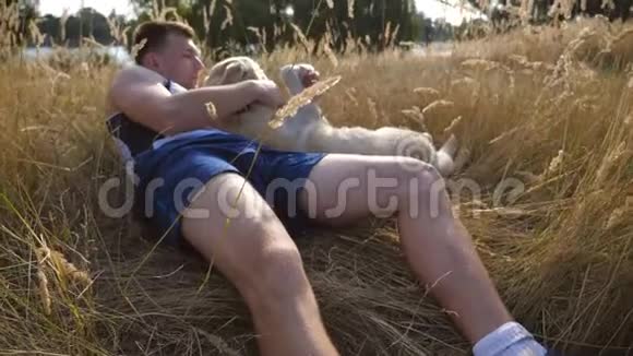年轻人躺在草地上抚摸他的拉布拉多男主在大自然中玩金毛猎犬爱和爱视频的预览图