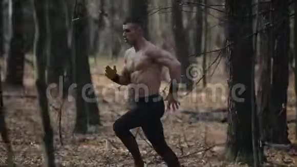 年轻的肌肉运动员赤裸的躯干穿着跑步裤在森林里奔跑在树之间奔跑的速度视频的预览图