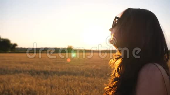 日落时分美丽的女人穿过麦田无忧无虑的女孩享受夏日的夜晚和自由视频的预览图