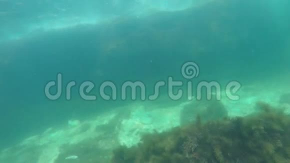 两个高加索女孩同时潜入珊瑚礁上空的海洋视频的预览图