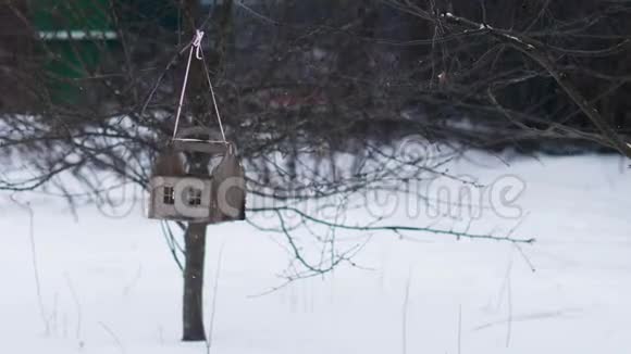 在树上挂着一个以树屋形式的馈线视频的预览图