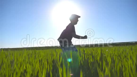 夏天戴帽子的无忧无虑的孩子在草地上慢跑玩得开心快乐的男孩带着绿色跑过田野视频的预览图