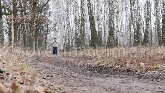 年轻人在雾蒙蒙的秋林中穿过高大的树木男性旅行者徒步旅行背包徒步穿越松林在雾中行走视频的预览图