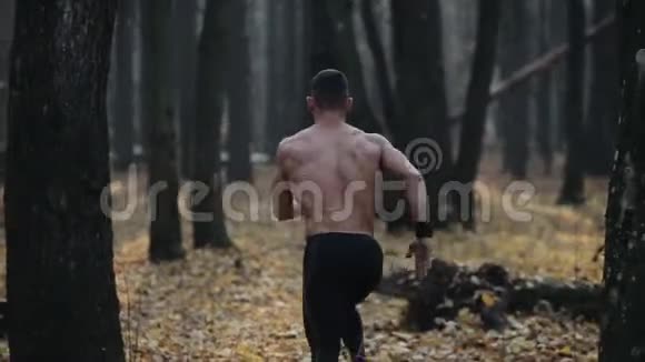 快速奔跑的肌肉男赤裸的躯干年轻的白种人在森林里跑步树上的风景视频的预览图
