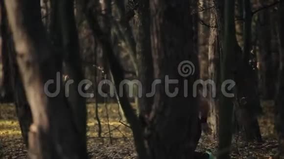 年轻的肌肉运动员在森林里奔跑在树之间奔跑视频的预览图