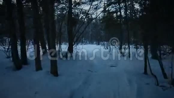 一个人在冬天的森林里行走的手持足迹就在夜晚之前视频的预览图