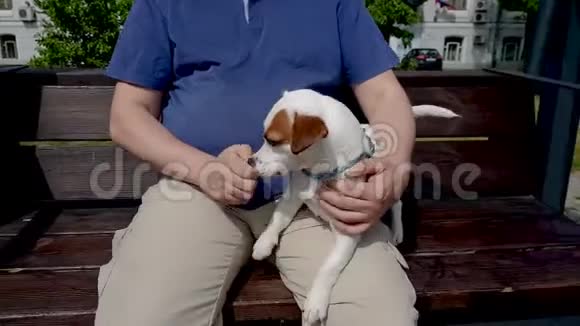 他和小狗坐在公园里视频的预览图
