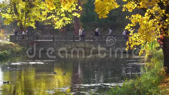 秋天公园的桥视频的预览图