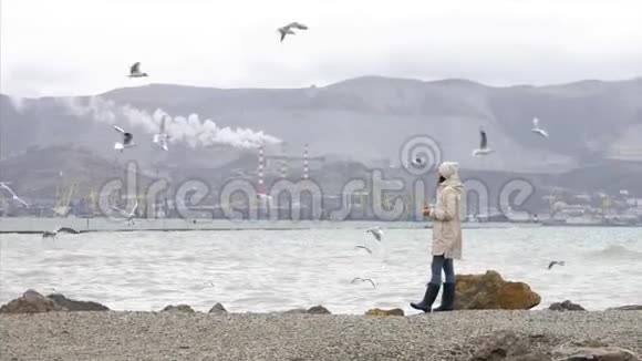 年轻女子正在喂海鸥多风天气的海滨视频的预览图
