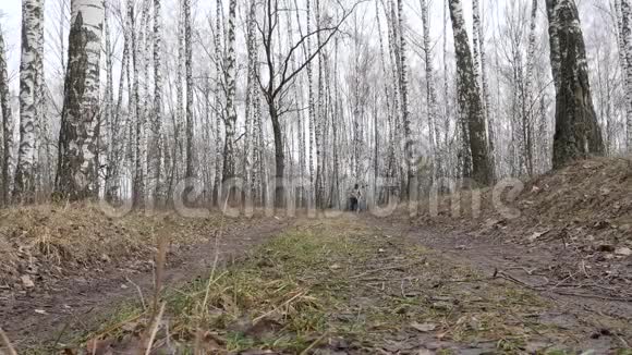 在秋天一个穿着蓝色连帽衫的人骑着自行车沿着一条小路行驶地上有橡子和五颜六色的叶子和树叶骑着自行车沿着一个爸爸视频的预览图