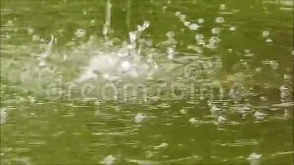 水泉瀑布鸟浴花园视频的预览图