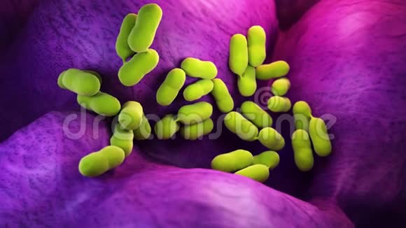 紫藤细菌视频的预览图