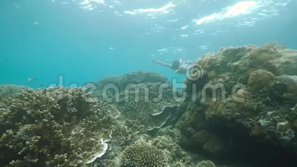 一个穿比基尼的女人在珊瑚礁附近的海洋下浮潜和游泳视频的预览图