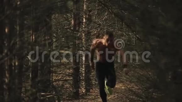 运动员以赤裸的躯干和集中的脸准备出发然后穿过森林对抗视频的预览图