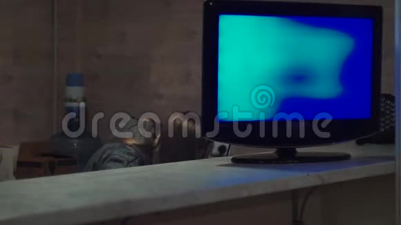 屏幕后面有电线的女孩正试图连接一台黑色电视视频的预览图