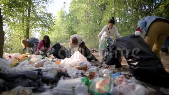 志愿者们在夏日的森林垃圾堆里分类垃圾可回收材料和回收视频的预览图