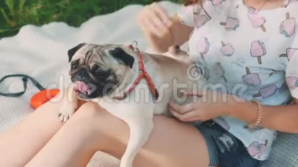 微笑的女士正在和她的狗空闲时间女人和她的小狗在大自然中放松作物关门视频的预览图