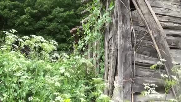 房子上旧的被拆除的木墙视频的预览图