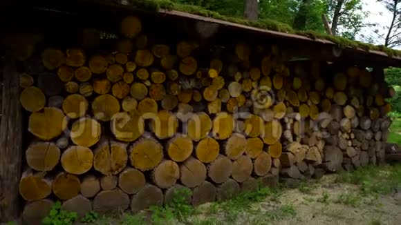 村里的木桩视频的预览图