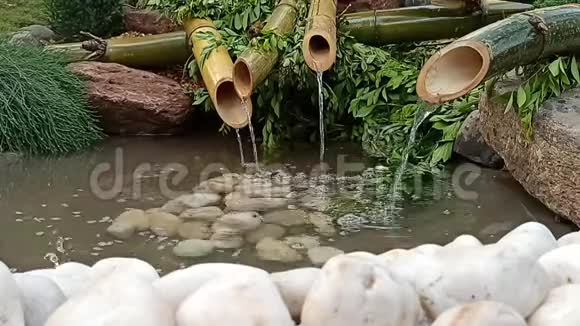 池塘里的水穿过竹子视频的预览图