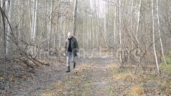 带背包的男游客沿着秋天的森林漫步视频的预览图