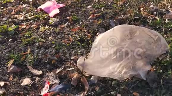 地面有垃圾和干燥的叶子视频的预览图