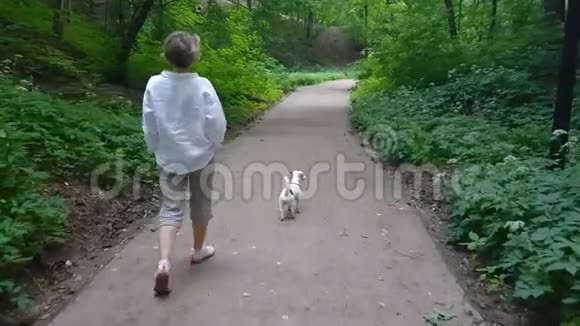 公园里的女人和狗遛狗视频的预览图