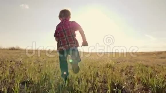 快乐的男孩在日落时在阳光下的绿色田野上奔跑幼儿游戏旅行梦想幼稚的幸福观念视频的预览图