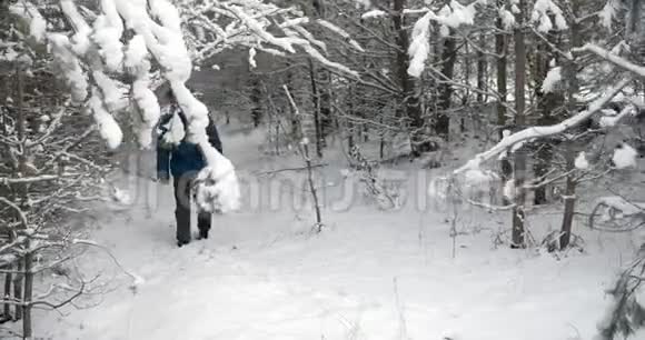 带背包的男游客在雪地森林里散步视频的预览图