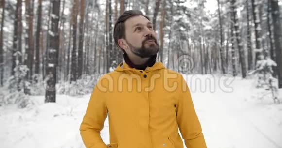 穿黄色夹克的成年男子在针叶林中行走视频的预览图