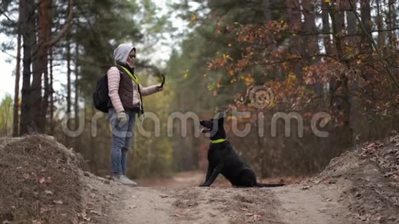 女人带着她的狗在秋天的森林里走视频的预览图