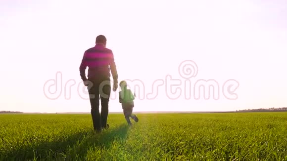 一对快乐的父子玩玩具飞机把它抛向天空一家人花时间在绿色里玩视频的预览图
