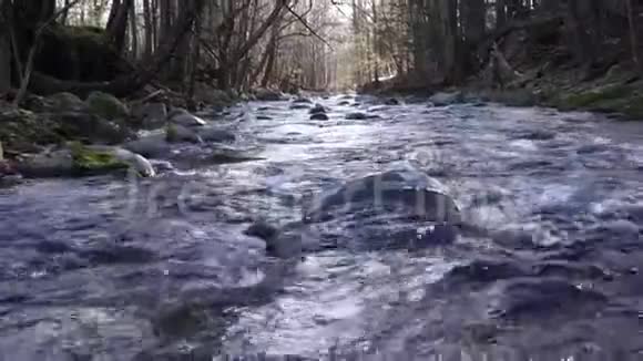 溪在卡茨基尔斯公园保护区下坡视频的预览图