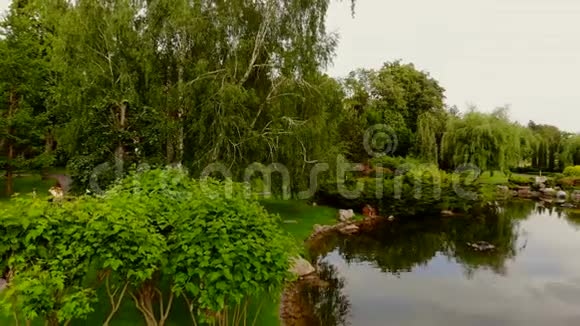 公园池塘附近的瘦径视频的预览图