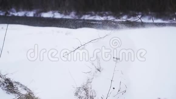 大自然中冬天的气息视频的预览图