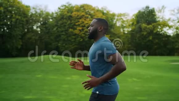 体育健将在绿色公园慢跑跑步者在路上做有氧运动视频的预览图