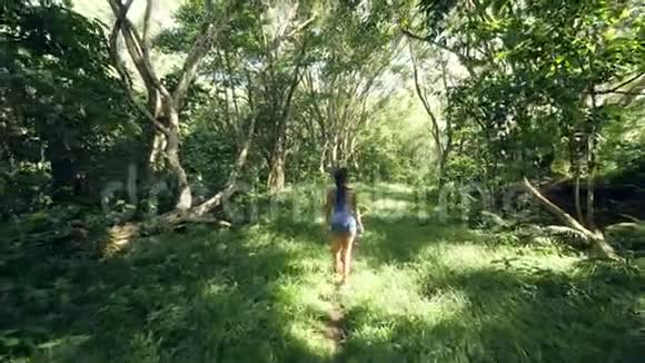 夏天在热带森林散步的年轻女子视频的预览图